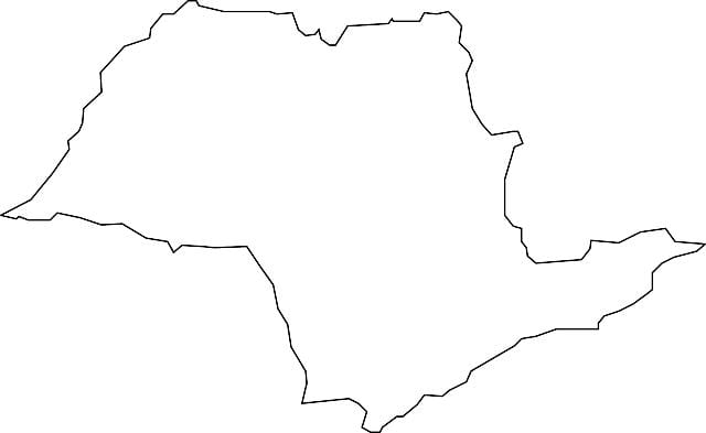 Carte São Paulo vectoriel