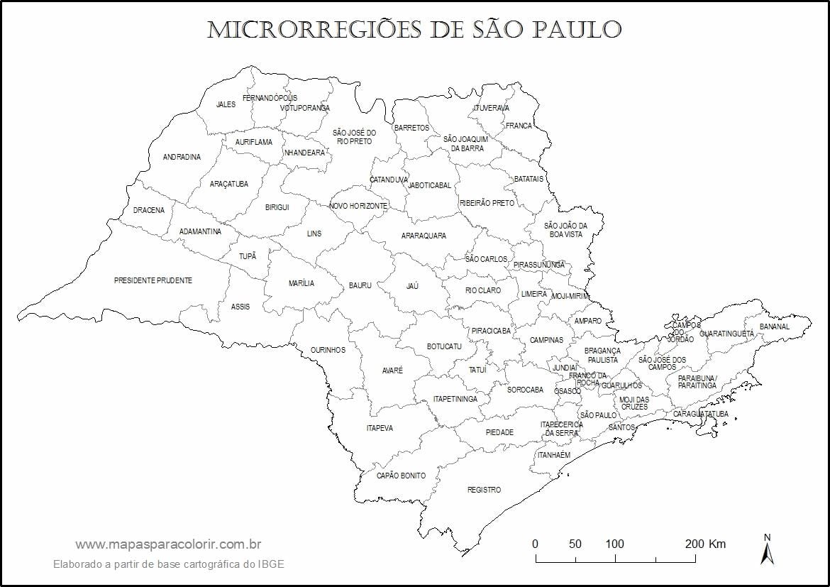 Carte São Paulo vierge - micro-régions