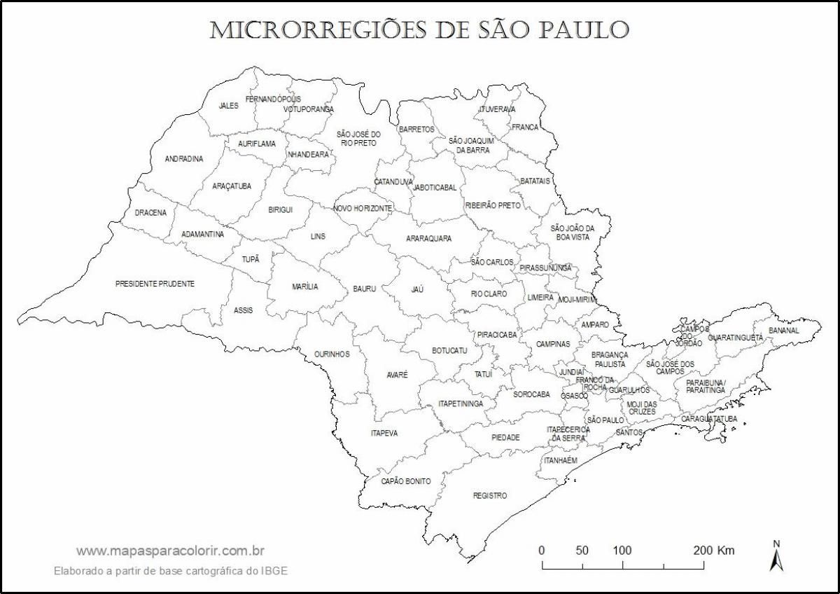 Carte São Paulo vierge - micro-régions