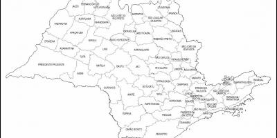 Carte de São Paulo vierge - micro-régions