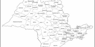 Carte São Paulo vierge - micro-régions
